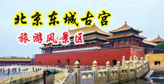 男人鸡吧往女人阴道里视频免费看中国北京-东城古宫旅游风景区